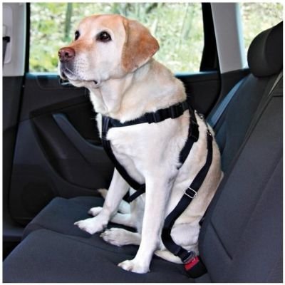 TRIXIE Bezpečnostní postroj do auta L