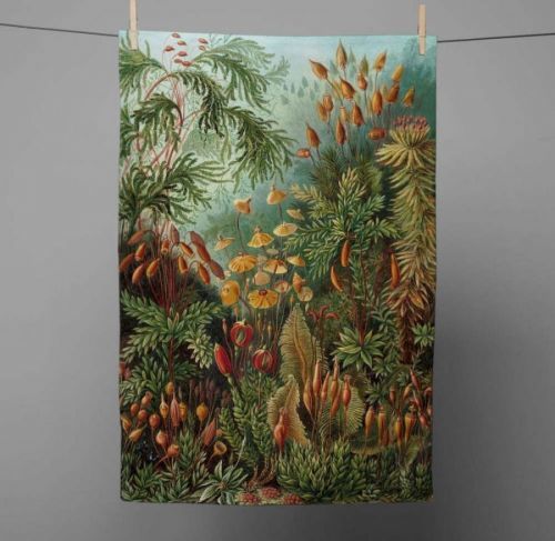 Kuchyňská utěrka Madre Selva Deep Forest, 70 x 50 cm