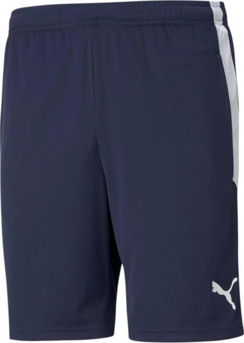 Šortky Puma teamLIGA Training Shorts
