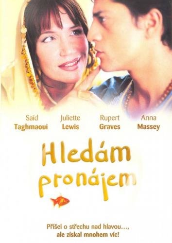 Hledám pronájem - DVD