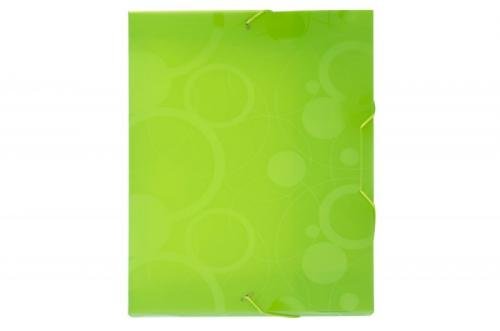 Karton P+P Krabice s gumou A4 - Neo Colori zelená - 2-946