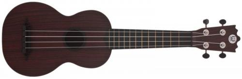 Woodi WU-21W(BK) Akustické ukulele
