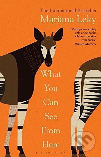 What You Can See From Here - Mariana Leky