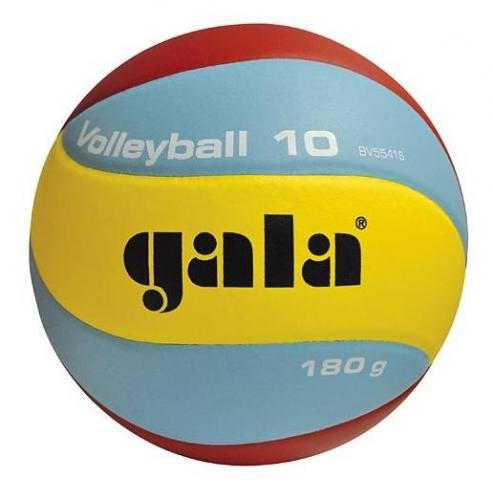 Gala BV5541S Volleyball 10 volejbalový míč 180g