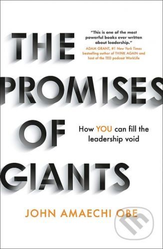 The Promises of Giants - John Amaechi