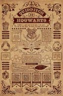 Posters Plakát, Obraz - Harry Potter - Quidditch At Hogwarts, (61 x 91,5 cm)