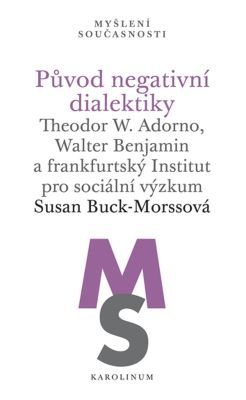 Původ negativní dialektiky - Buck-Morssová Susan - e-kniha