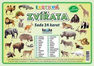 Exotická zvířata - Sada 24 karet - Kupka a kolektiv Petr