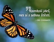 Magnet na lednici - Kamkoli jdeš, nes si s sebou štěstí. - Chinmoy Sri