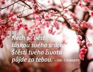 Magnet na lednici - Nech se vést láskou svého srdce. Štěstí tvého života půjde za tebou. - Chinmoy Sri