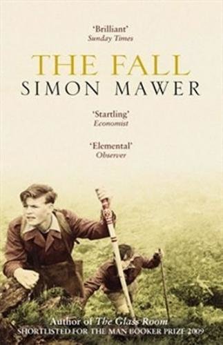 The Fall - Mawer Simon