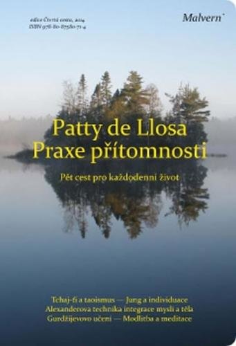Praxe přítomnosti - Pět cest pro každodenní život - de Llosa Patty