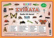 Zvířata hmyz - Sada 24 karet - Kupka a kolektiv Petr
