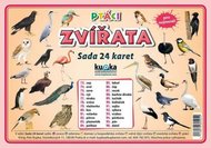Ptáci zvířata - Sada 24 karet - Kupka a kolektiv Petr