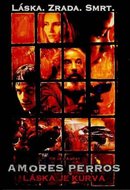 Amores Perros (Láska je kurva) - DVD - neuveden