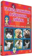 Tu je les tu zahrádka  - DVD - neuveden