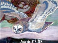 Antonín Střížek - Dostál Martin