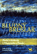 Bludný bruslař - kolektiv