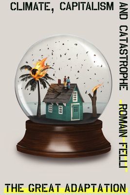 Great Adaptation - Climate, Capitalism and Catastrophe (Felli Romain)(Pevná vazba)