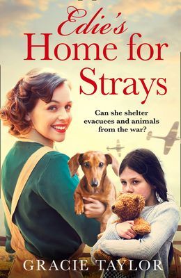 Edie's Home for Strays (Taylor Gracie)(Paperback / softback)