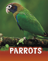 Parrots (Schuh Mari)(Paperback / softback)