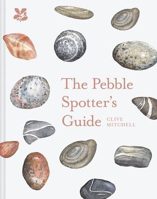 The Pebble Spotter's Guide (Mitchell Clive J.)(Pevná vazba)