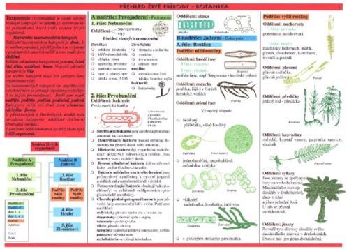 Botanika - tabulka přehled učiva