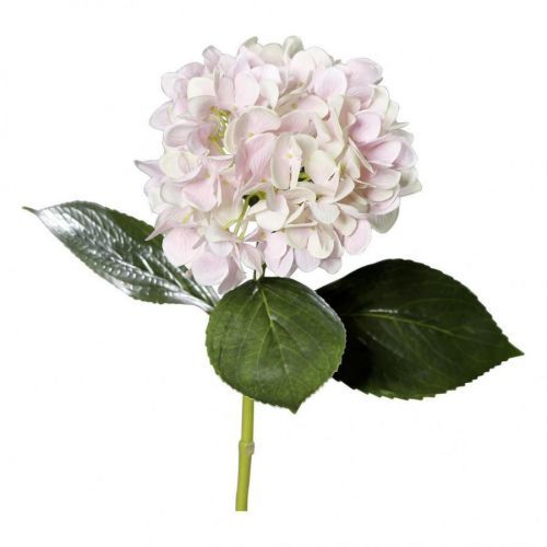 UMĚLÁ ROSTLINA 67 cm