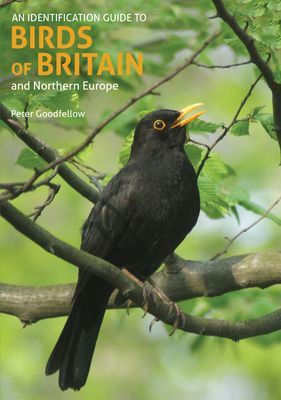 Identification Guide to Birds of Britain and Northern Europe (2nd edition) (Goodfellow Peter)(Paperback / softback)