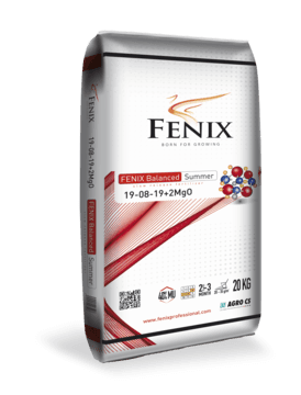 AGRO CS FENIX Balanced Summer 19-08-19+2MgO 20 kg