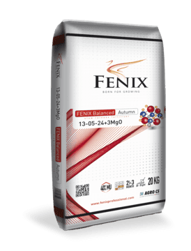 AGRO CS FENIX Balanced Autumn 13-05-24+3MgO 20 kg