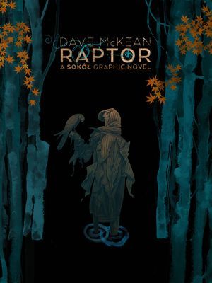 Raptor: A Sokol Graphic Novel (Mckean Dave)(Paperback / softback)