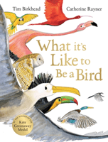 What it's Like to be a Bird (Birkhead Tim)(Pevná vazba)