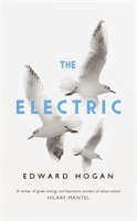 Electric (Hogan Edward)(Paperback / softback)
