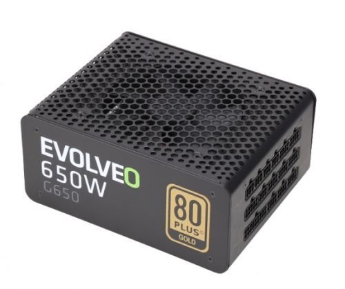 EVOLVEO G650 zdroj 650W, 80+ GOLD, 90% účinnost, aPFC, 140mm ventilátor, retail; E-G650R