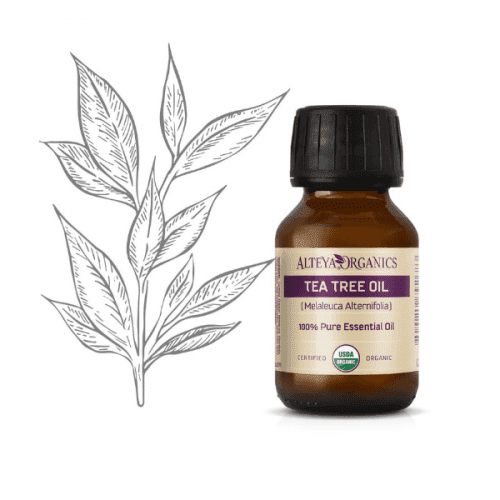 Alteya Organics Tea Tree (čajovníkový) olej 100% Bio Alteya 50 ml 50ml