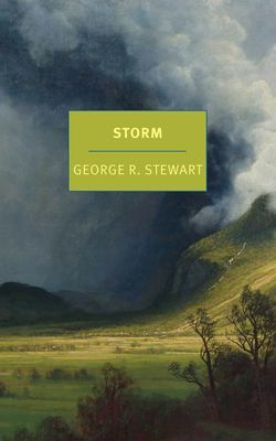 Storm (Stewart George R.)(Paperback / softback)