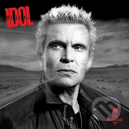 Billy Idol: The Roadside - Billy Idol