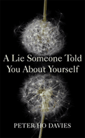 Lie Someone Told You About Yourself (Davies Peter Ho)(Paperback / softback)