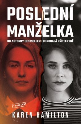 Poslední manželka - Karen Hamilton - e-kniha