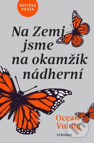 Na Zemi jsme na okamžik nádherní - Ocean Vuong