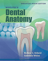 Woelfel's Dental Anatomy, Enhanced Edition (Scheid Rickne C.)(Pevná vazba)