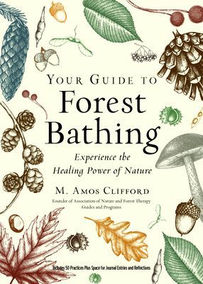 Your Guide to Forest Bathing (Expanded Edition): Experience the Healing Power of Nature (Clifford M. Amos)(Paperback)