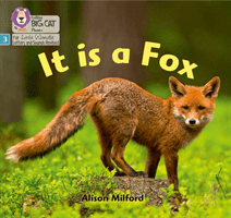 It is a Fox - Phase 3 (Milford Alison)(Paperback / softback)