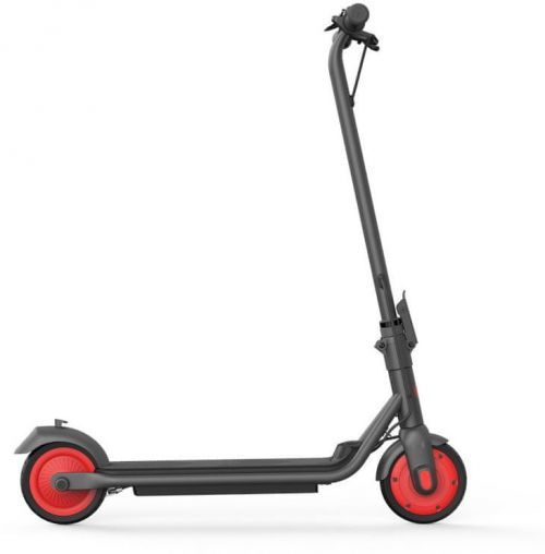 Segway Ninebot eKickscooter Zing C20