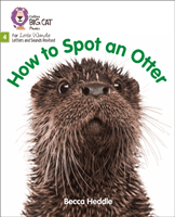 How to Spot an Otter - Phase 4 (Heddle Becca)(Paperback / softback)