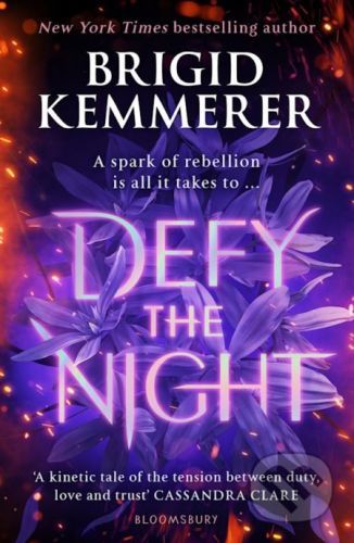 Defy the Night - Brigid Kemmerer