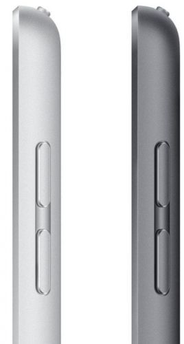 Apple iPad 2021, Wi-Fi, 256GB, Space Gray