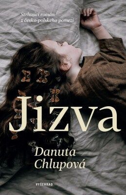 Jizva - Danuta Chlupová - e-kniha