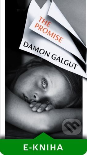 The Promise - Damon Galgut